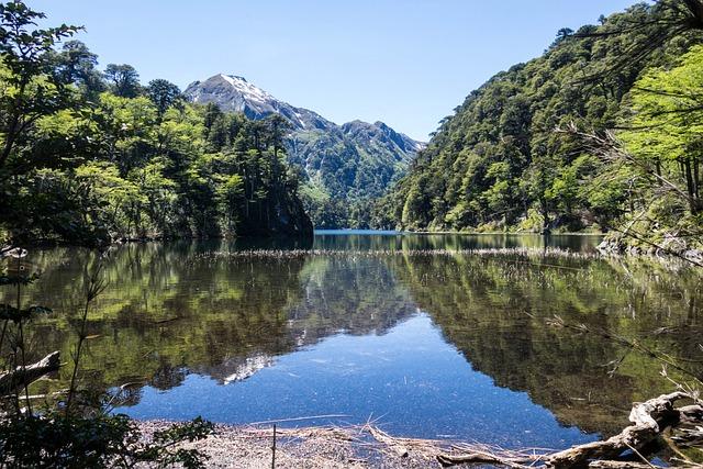 抢跑莱德杯2025！欧洲阿布扎比大练兵，英爱队17∶8战胜欧陆队