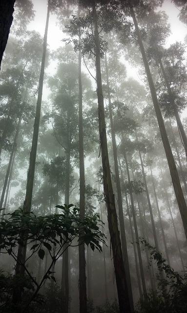 高尔夫 核心训练 懂？